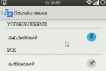 Ktorý prekladač je najlepší – odstránenie jazykových bariér v komunikácii Screenshoty Google Translator